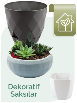 Dekoratif Saksılar