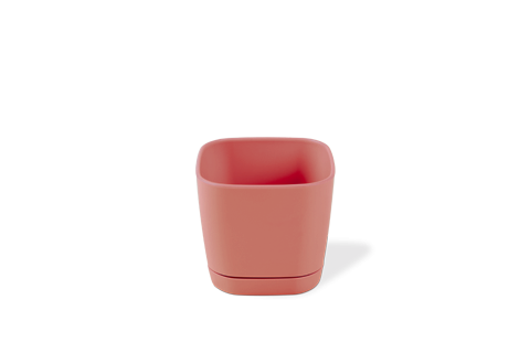 KRS-400 / Soft Pembe